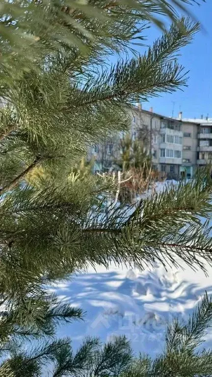 3-к кв. Иркутская область, Ангарск 6А мкр, 41 (68.9 м) - Фото 2