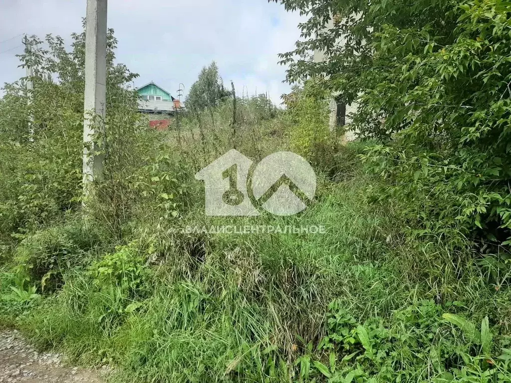 Участок в Новосибирская область, Новосибирский район, с. Раздольное  ... - Фото 1