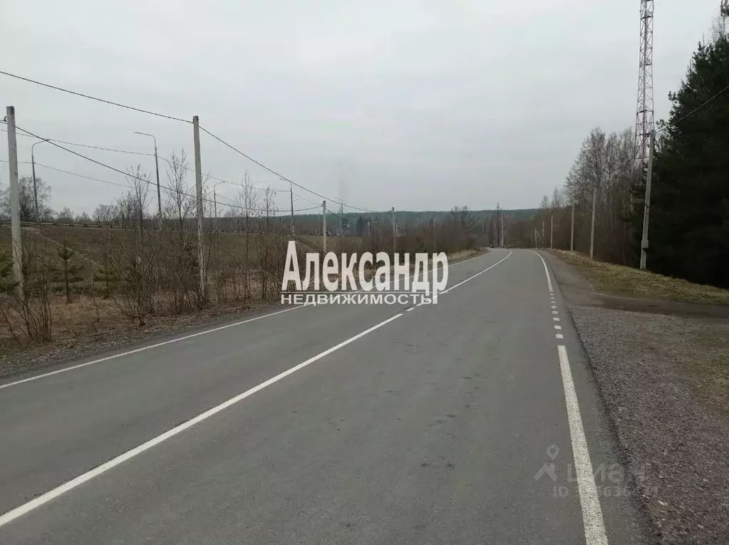 Коттедж в Ленинградская область, Приозерский район, Ромашкинское ... - Фото 0