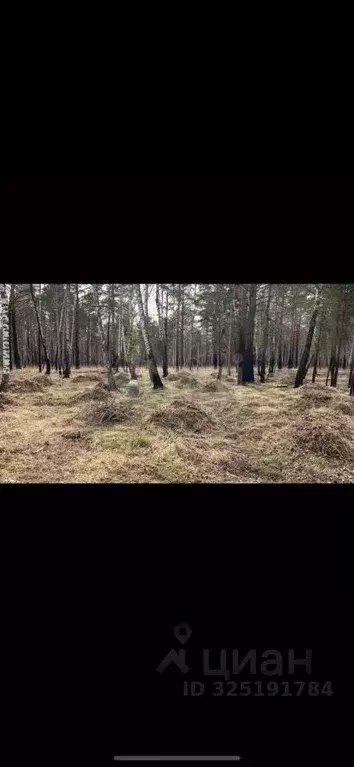 Участок в Красноярский край, Емельяновский муниципальный округ, ... - Фото 2