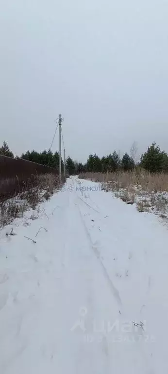 Участок в Нижегородская область, Богородский муниципальный округ, д. ... - Фото 1