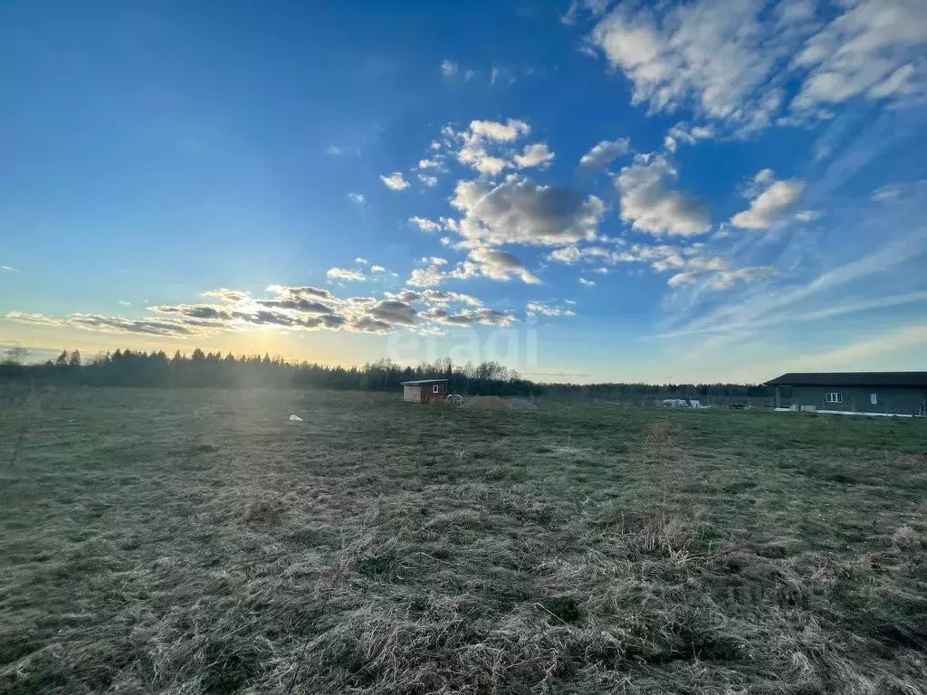 Участок в Костромская область, Красносельский район, Гридинское с/пос, ... - Фото 1