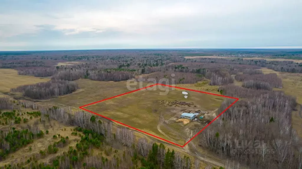 Участок в Томская область, Томский район, Зоркальцевское с/пос, с. ... - Фото 2