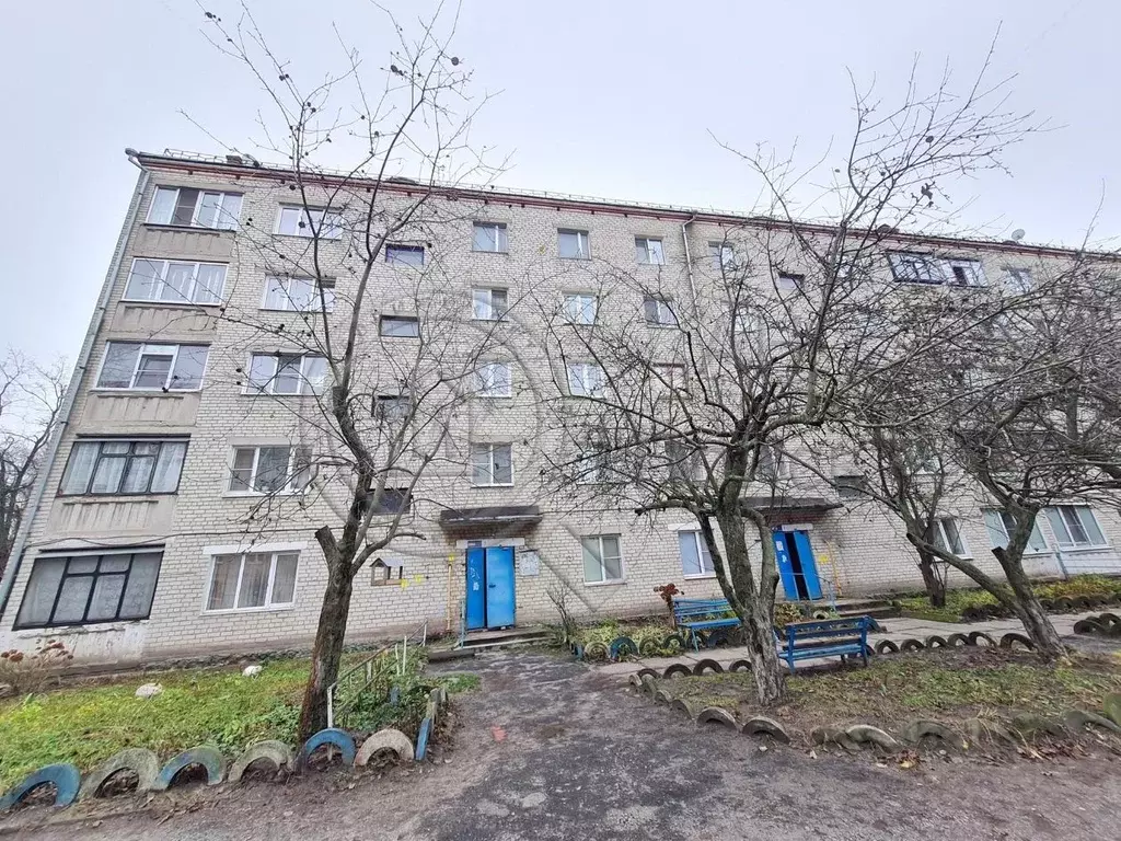 2-к кв. Курская область, Льгов ул. Примакова, 67 (49.7 м) - Фото 2