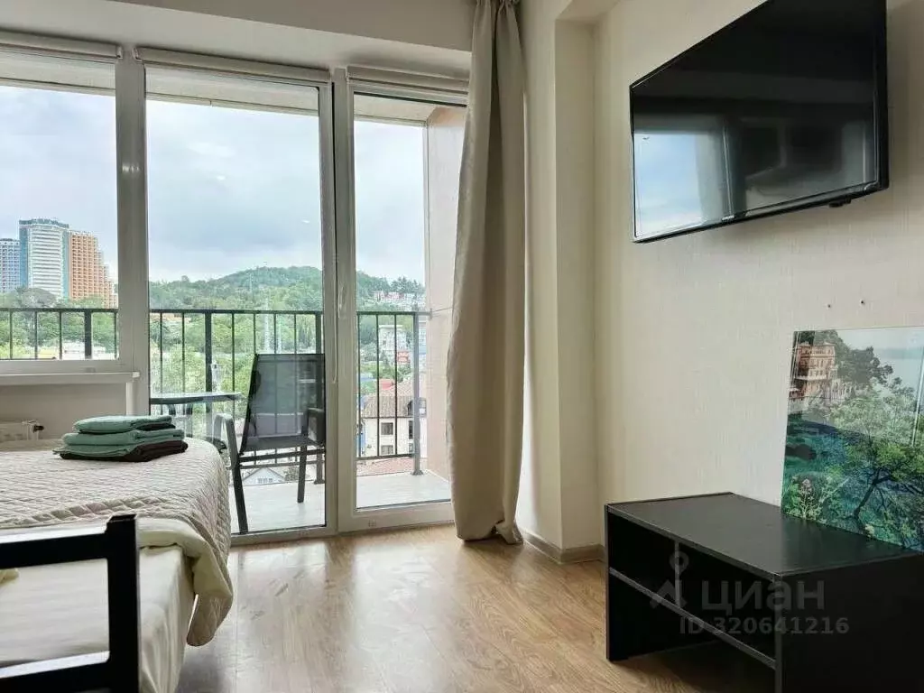 1-к кв. Краснодарский край, Сочи городской округ, Дагомыс пгт ул. ... - Фото 2