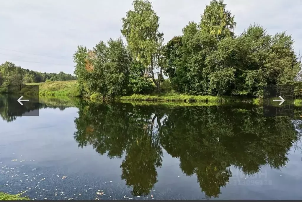 Участок в Московская область, Домодедово городской округ, д. Ивановка, ... - Фото 0