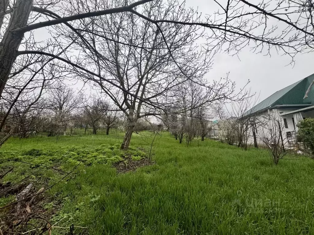 Участок в Краснодарский край, Новороссийск городской округ, пос. ... - Фото 1
