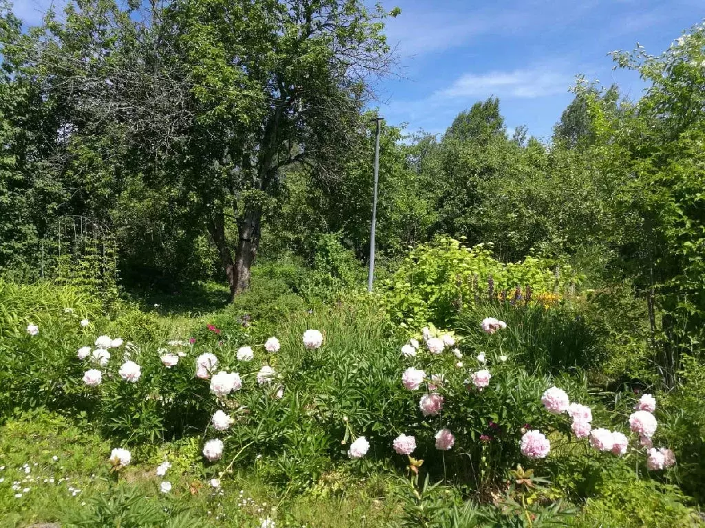 Продается участок в д. Пантелеево - Фото 2