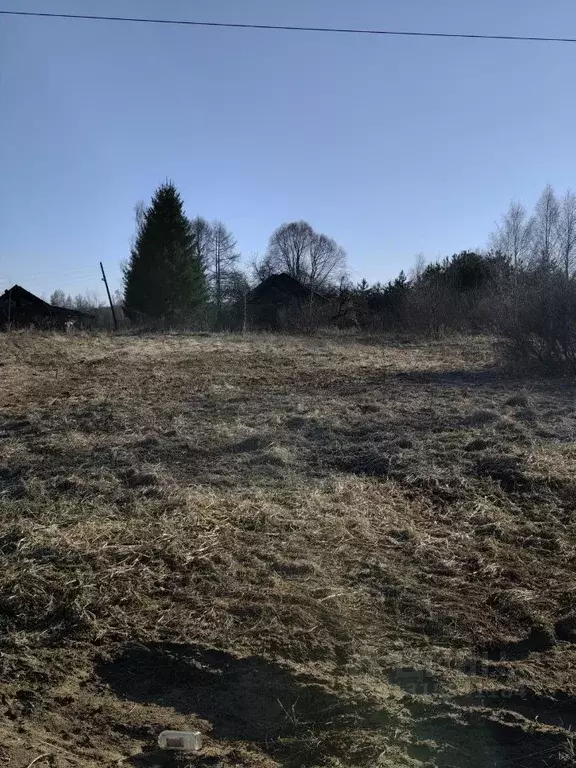 Участок в Тверская область, Старицкий муниципальный округ, д. Лужи  ... - Фото 1