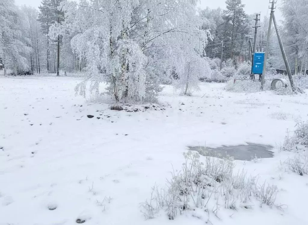 Участок в Ленинградская область, Приозерский район, Громовское с/пос, ... - Фото 1