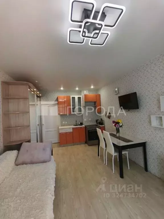 Студия Новосибирская область, Новосибирск Красный просп., 311 (27.5 м) - Фото 1