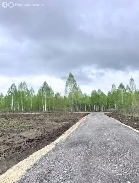 Участок в Тюменская область, Нижнетавдинский муниципальный округ, КП ... - Фото 1