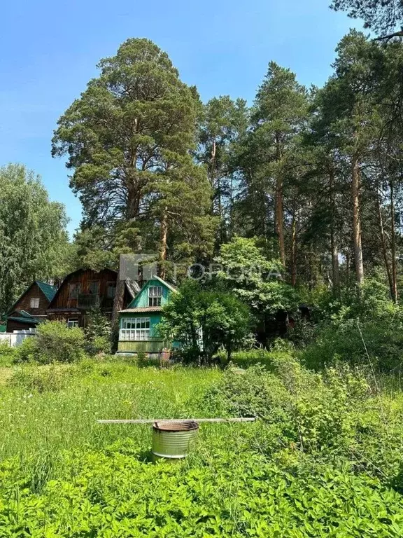 Участок в Новосибирская область, Новосибирск Лесной ДНТ,  (4.83 сот.) - Фото 1