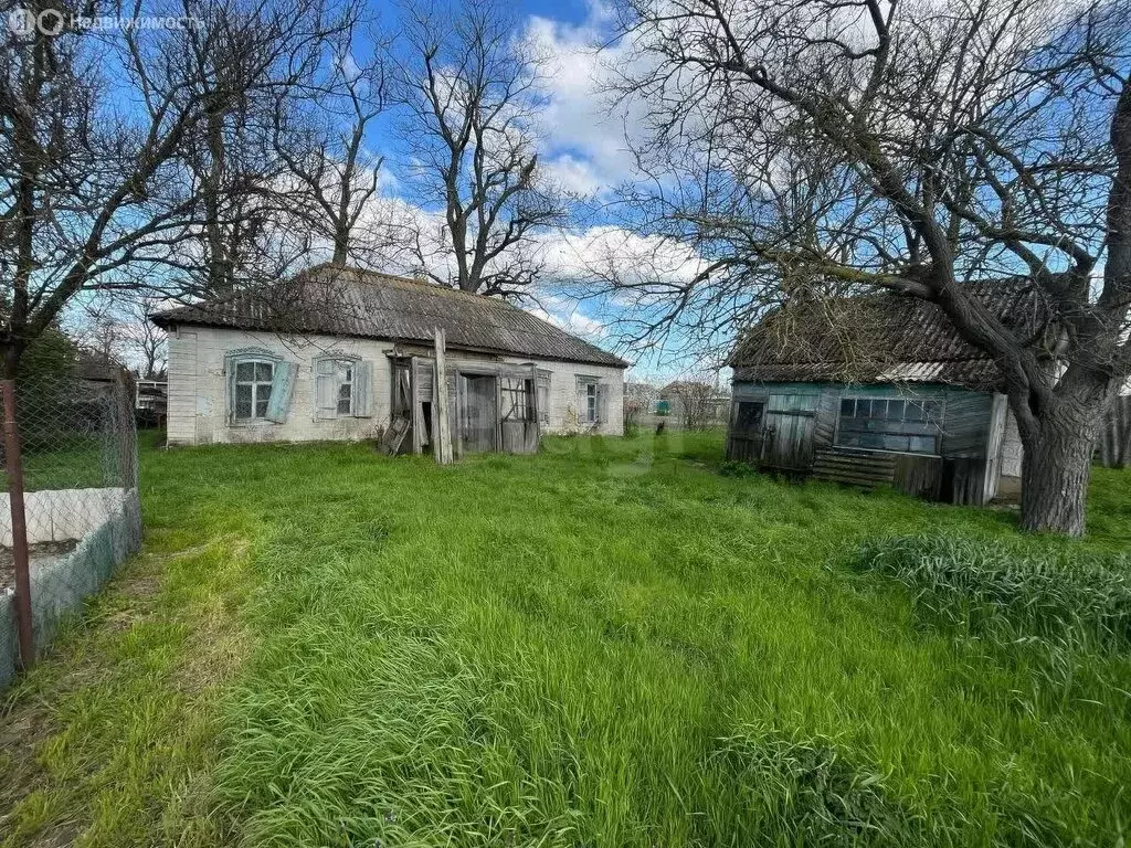 Участок в Лебеди, улица Ворошилова (29 м) - Фото 1