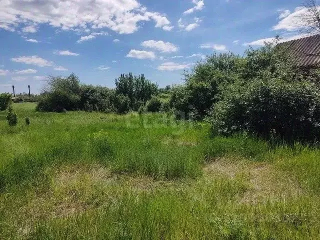 Участок в Саратовская область, Балашовский район, с. Большой Мелик ул. ... - Фото 1