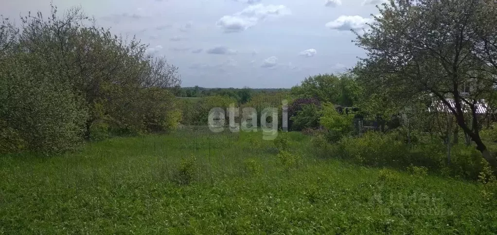 Участок в Белгородская область, Белгородский район, Головинское с/пос, ... - Фото 1