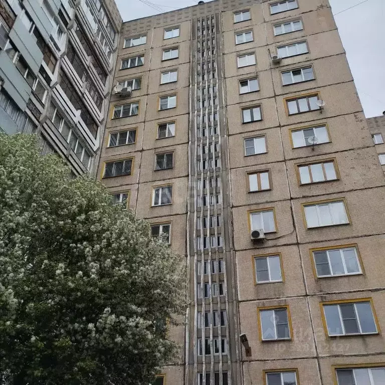 2-к кв. Кемеровская область, Новокузнецк ул. Кирова, 92 (46.6 м) - Фото 1