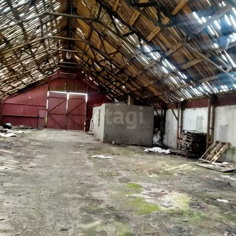 Склад в Новосибирская область, Новосибирский район, с. Толмачево ... - Фото 1