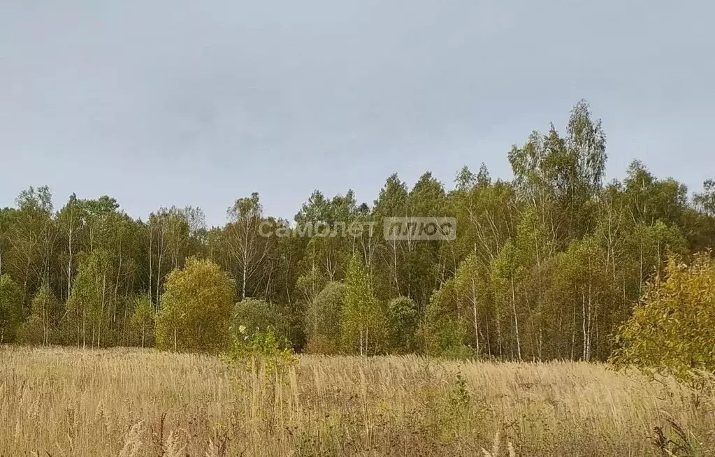 Участок в Калужская область, Калуга городской округ, д. Галкино 38Б ... - Фото 0