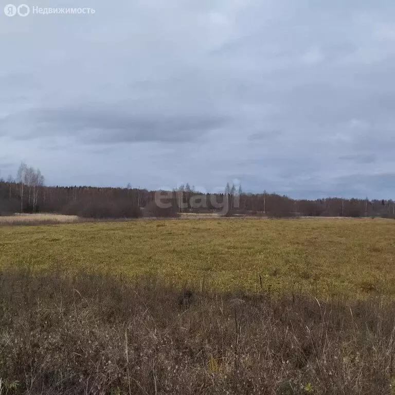 Участок в Костромская область, посёлок городского типа ... - Фото 2