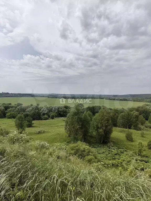 Участок 1738 га (СНТ, ДНП) - Фото 0