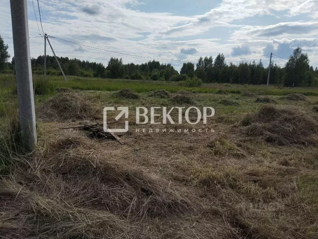 Участок в Костромская область, Волгореченск ул. Вишневая, 16 (1006.0 ... - Фото 1