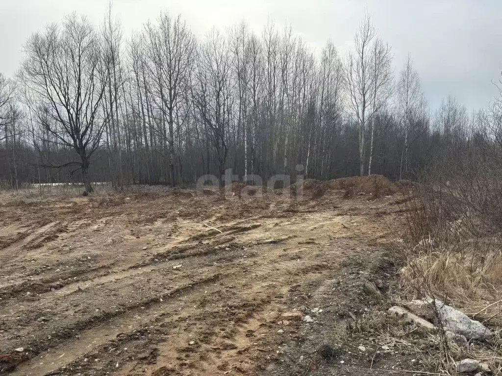 Участок в Ярославская область, Ярославль Липовая Гора жилрайон,  (10.0 ... - Фото 2
