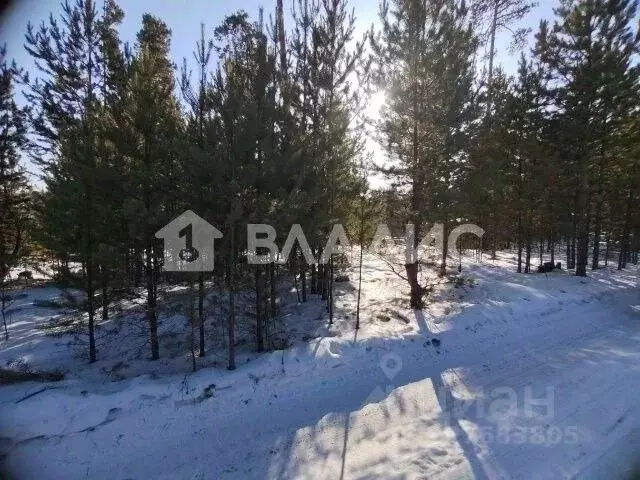 Участок в Бурятия, Улан-Удэ Весна ДНТ, Б4 (8.0 сот.) - Фото 1