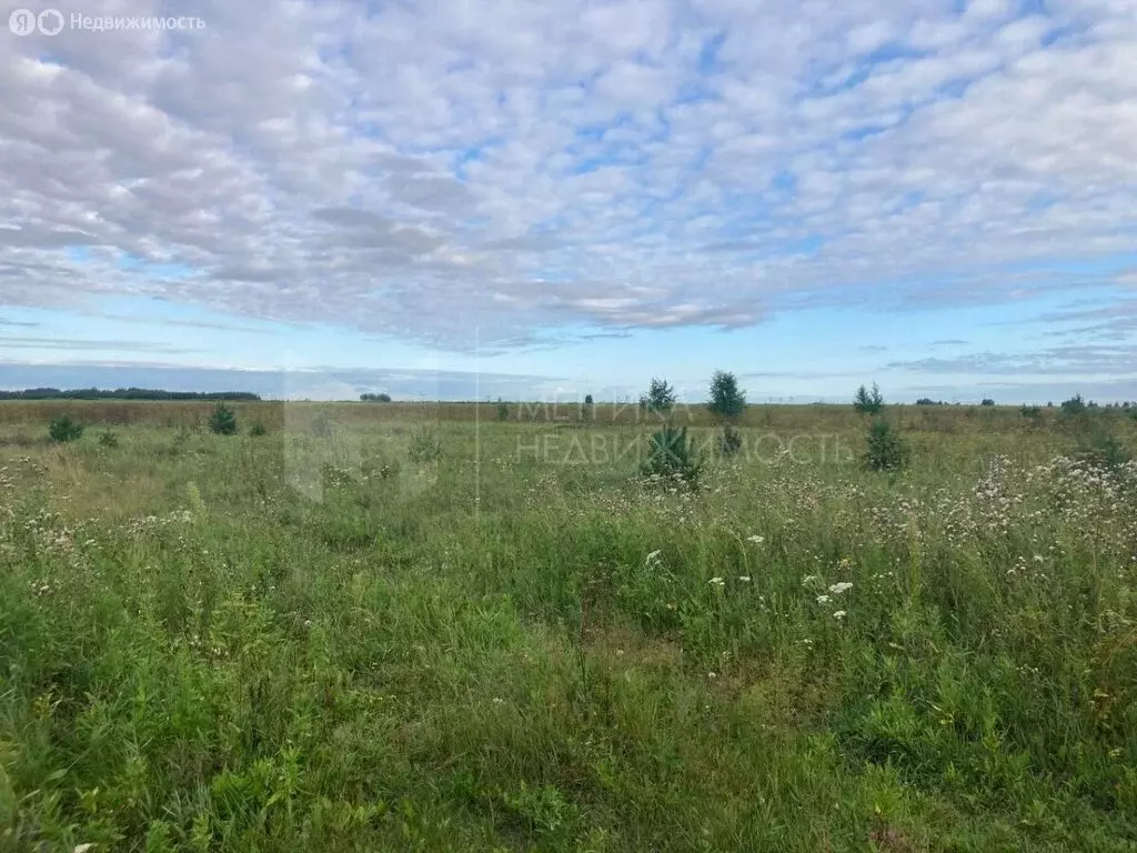 Участок в Тюменский район, село Каменка (7.4 м) - Фото 0