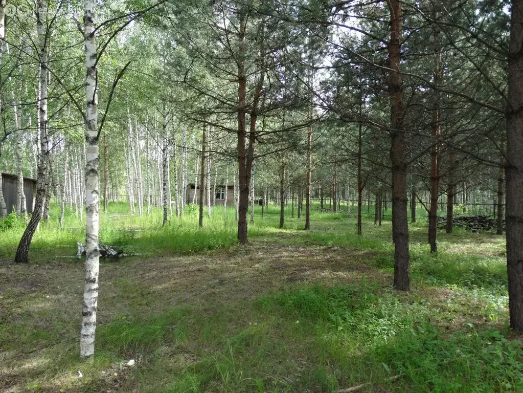 Участок в Павлово-Посадский городской округ, деревня Дальняя (8 м) - Фото 1