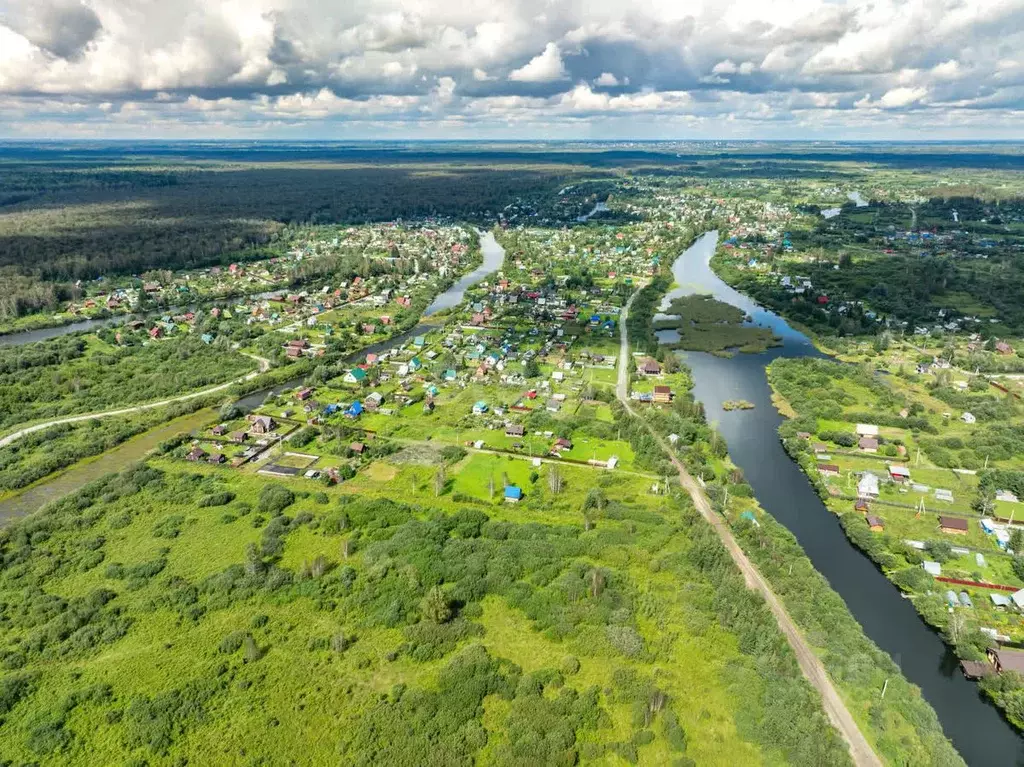 Участок в Новосибирская область, Коченевский район, Лесник СНТ ул. ... - Фото 1