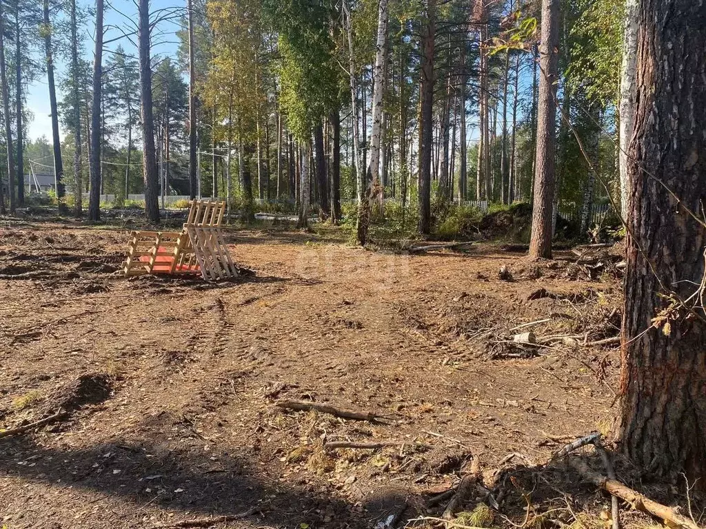 Участок в Свердловская область, Екатеринбург ИЖС Парк Тихое место кп,  ... - Фото 0