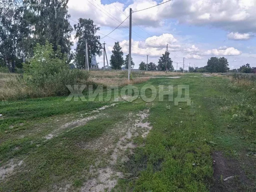 Участок в Марусино, улица Тургенева (12 м) - Фото 0