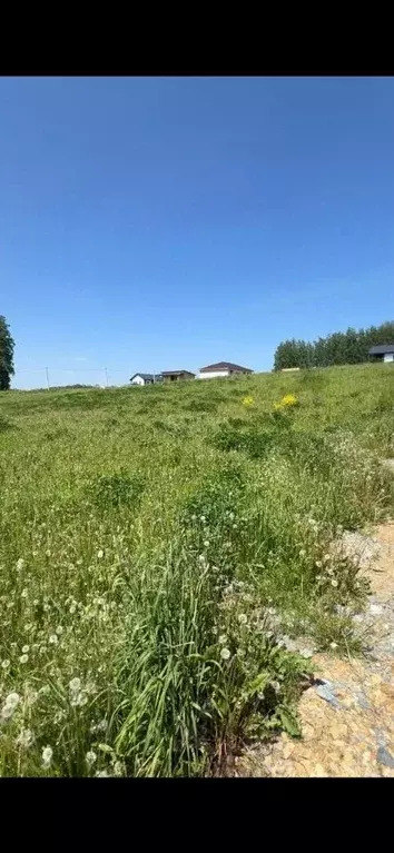 Участок в Новосибирская область, Новосибирский район, Раздольненский ... - Фото 1