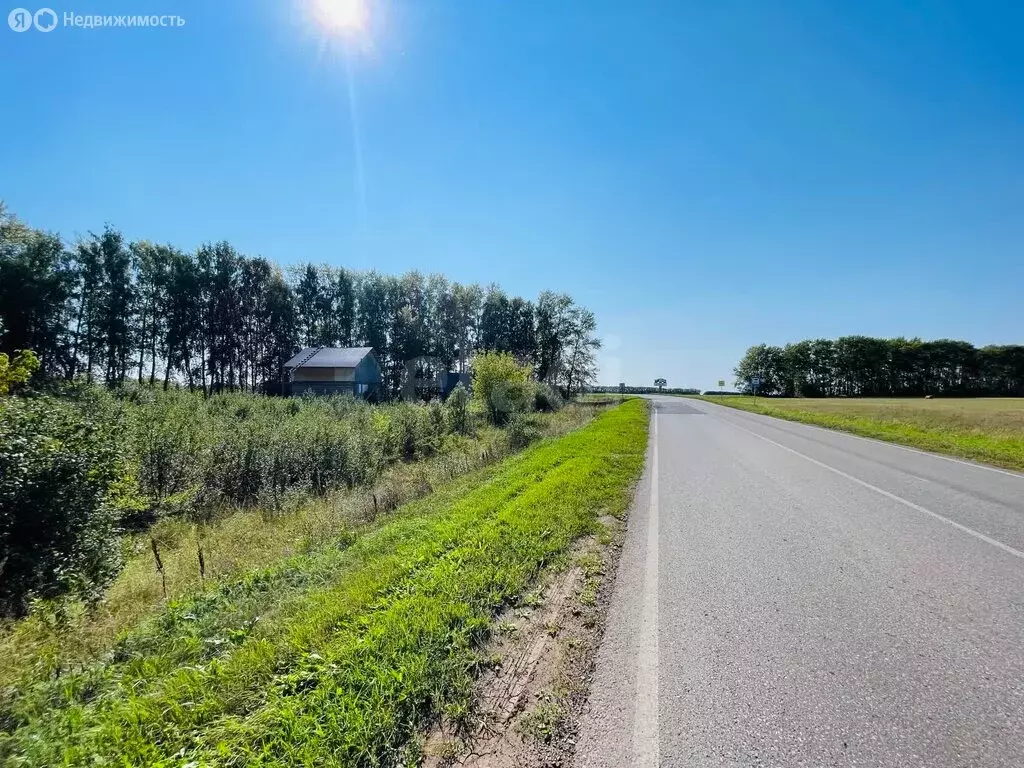 Участок в Кабаковский сельсовет, СНТ Маяк-2 (8 м) - Фото 1