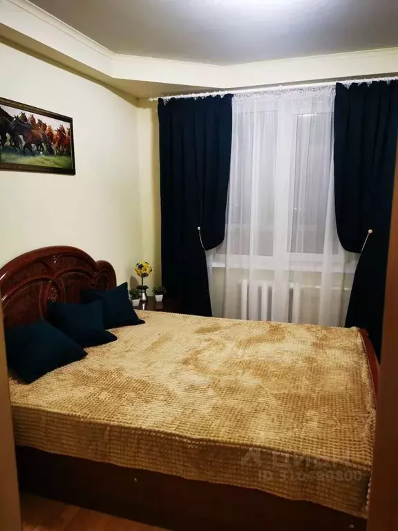 2-к кв. Оренбургская область, Оренбург Салмышская ул., 48 (50.0 м) - Фото 0
