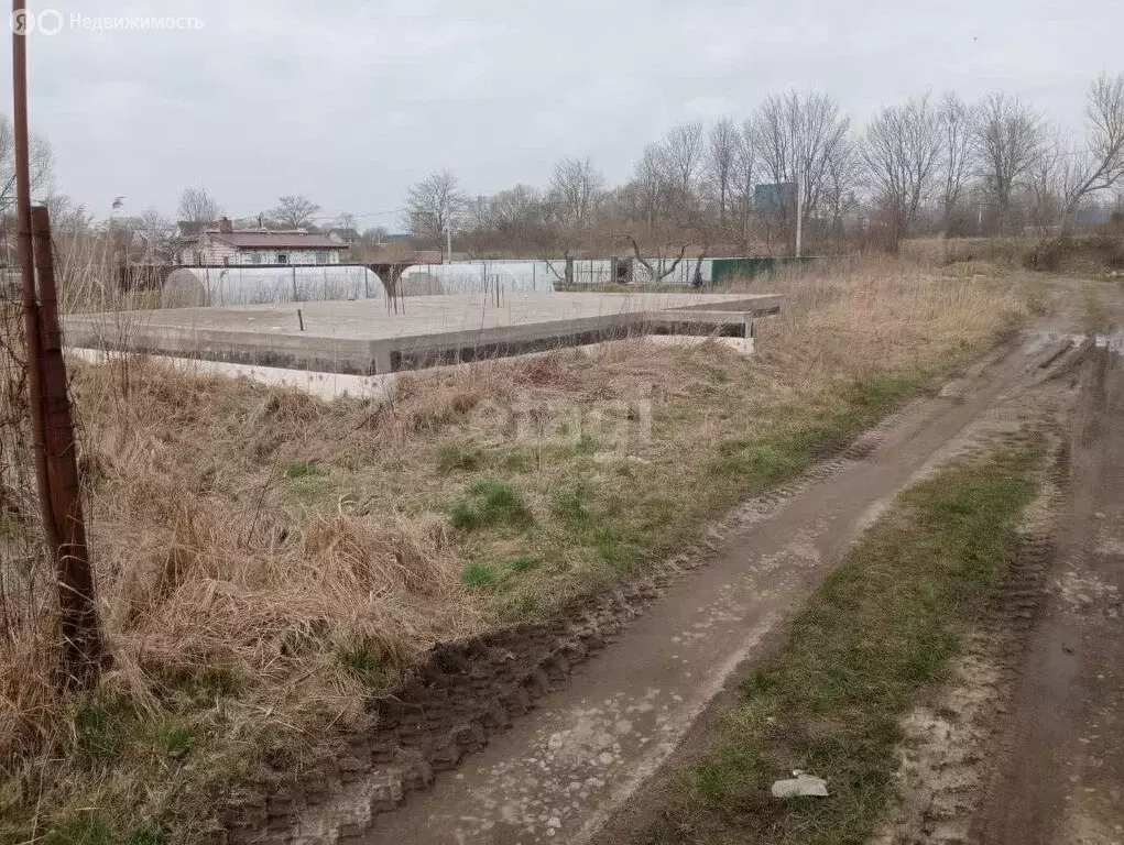 Участок в посёлок городского типа Янтарный, СНТ Садовник, Изумрудная ... - Фото 1