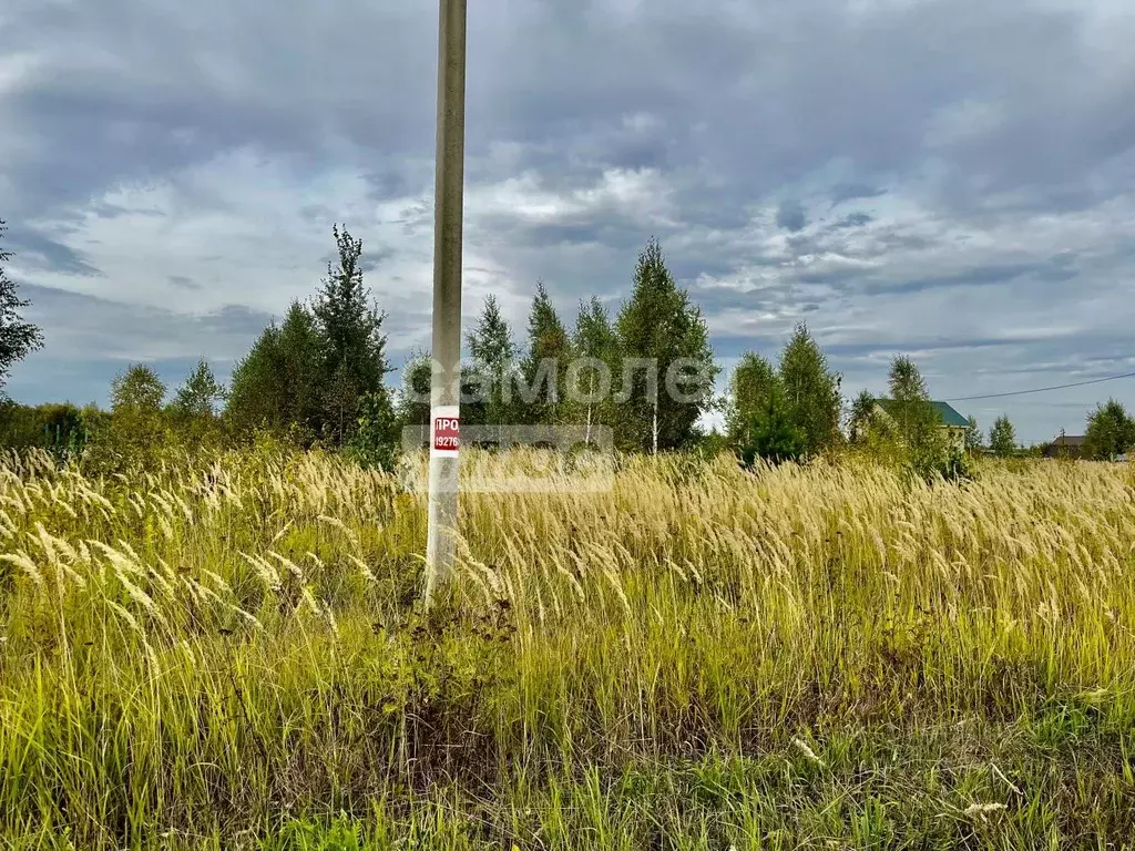 Участок в Марий Эл, Йошкар-Ола городской округ, д. Шоя-Кузнецово ул. ... - Фото 2