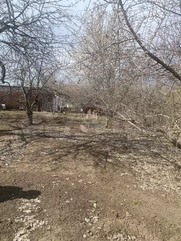 Участок 6 сот. (СНТ, ДНП) - Фото 1