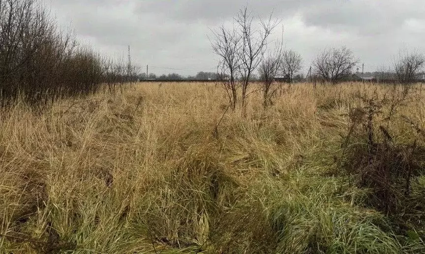 Участок в Московская область, Серпухов городской округ, с. Липицы  ... - Фото 0