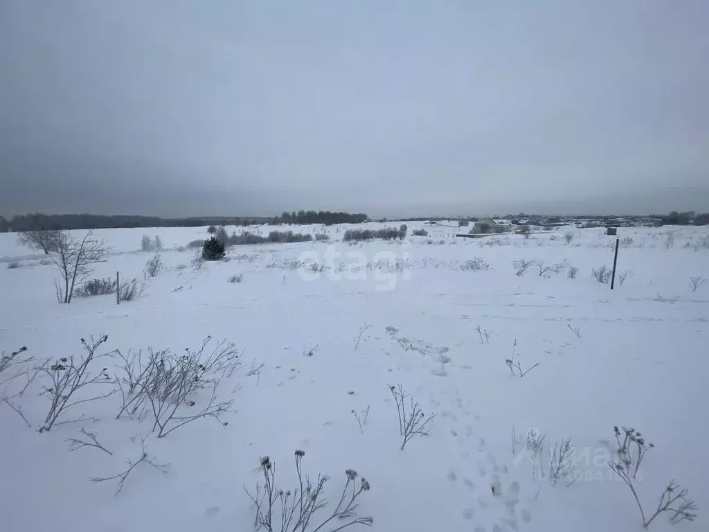 Участок в Кемеровская область, Прокопьевск Молодежная ул. (15.0 сот.) - Фото 0