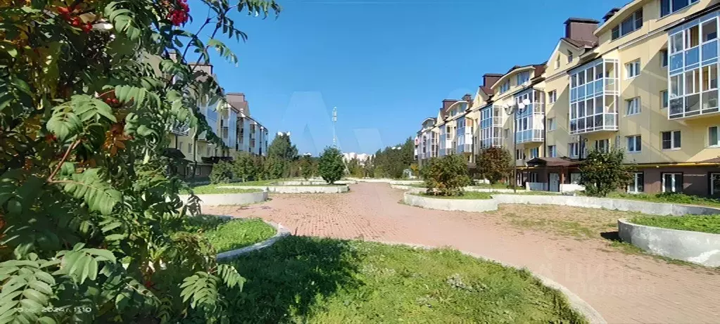 2-к кв. Свердловская область, Екатеринбург ул. Очеретина, 14 (54.0 м) - Фото 0