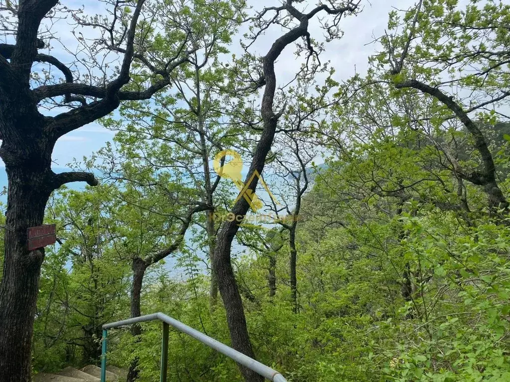 Участок в Краснодарский край, Туапсинский муниципальный округ, Джубга ... - Фото 2