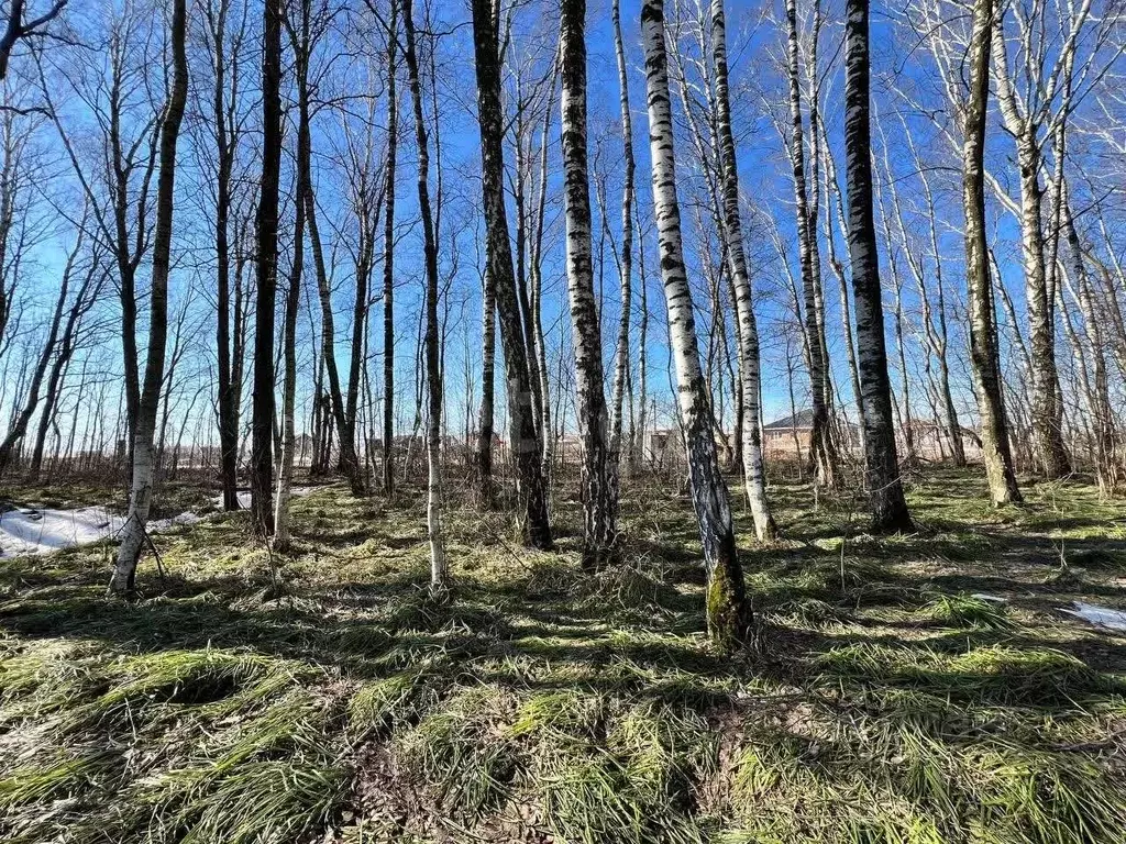 Участок в Московская область, Домодедово Рэд кп, 149 (6.6 сот.) - Фото 0