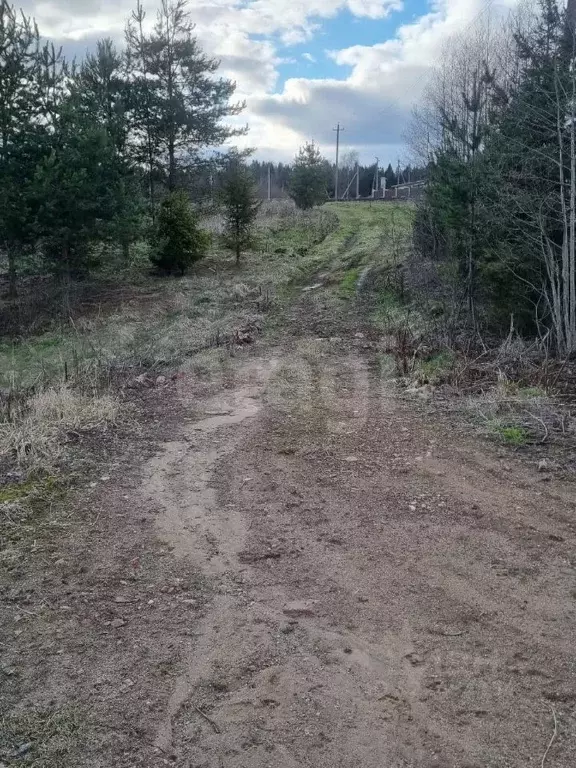 Участок в Вологодская область, пос. Уткино ул. Центральная (29.6 сот.) - Фото 2