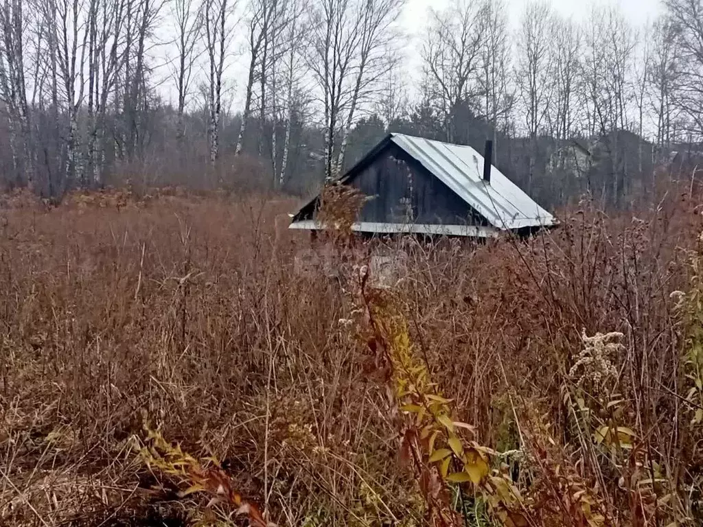 Участок в Кемеровская область, Новокузнецкий муниципальный округ, с. ... - Фото 0