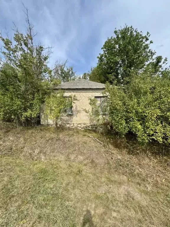 Дом в Воронежская область, Хохольский район, Староникольское с/пос, с. ... - Фото 1