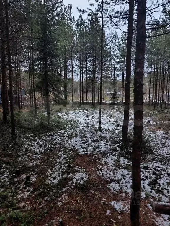 Участок в Ленинградская область, Всеволожский район, Сертоловское ... - Фото 1