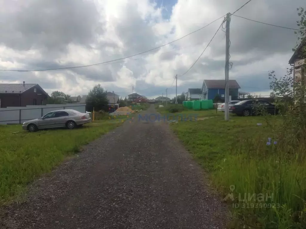 Участок в Нижегородская область, Богородский муниципальный округ, с. ... - Фото 1
