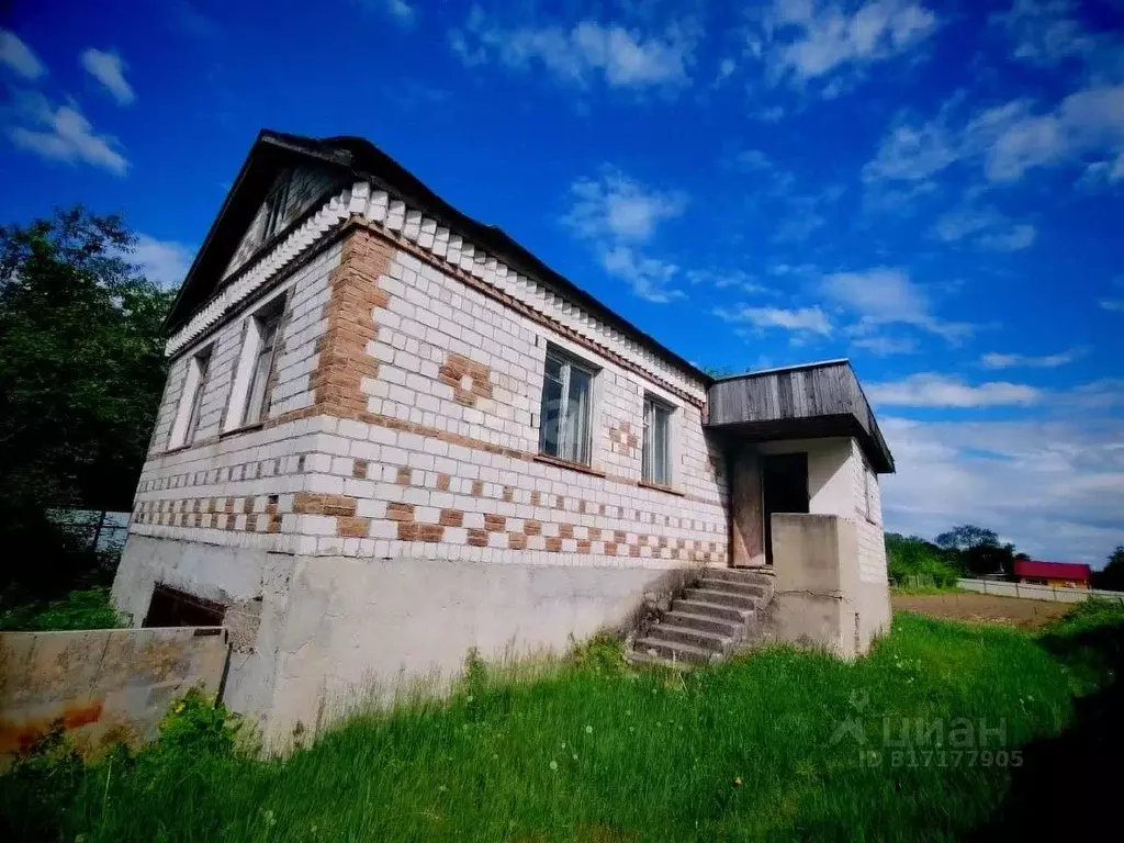 Участок в Амурская область, Свободненский район, с. Малая Сазанка ... - Фото 1